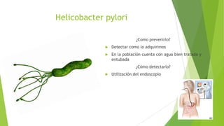 Helicobacter pylori
¿Como prevenirlo?


Detectar como lo adquirimos



En la población cuenta con agua bien tratada y
entubada
¿Cómo detectarlo?



Utilización del endoscopio

 
