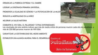 ERRADICAR LA POBREZA EXTREMA Y EL HAMBRE
LOGRAR LA ENSEÑANZA PRIMARIA UNIVERSAL

PROMOVER LA IGUALDAD DE GÉNERO Y LA POTENCIACIÓN DE LA MUJER
REDUCIR LA MORTALIDAD EN LA NIÑEZ
MEJORAR LA SALUD MATERNA

COMBATIR EL VIH/SIDA, EL PALUDISMO Y OTRAS ENFERMEDADES
Los resultados de este análisis indican que más de medio millón de personas mueren cada año de paludismo, y
más de 250 000 personas mueren de VIH/SIDA
GARANTIZAR LA SOSTENIBILIDAD DEL MEDIO AMBIENTE
ESTABLECER UNA ALIANZA MUNDIAL PARA EL DESARROLLO

 