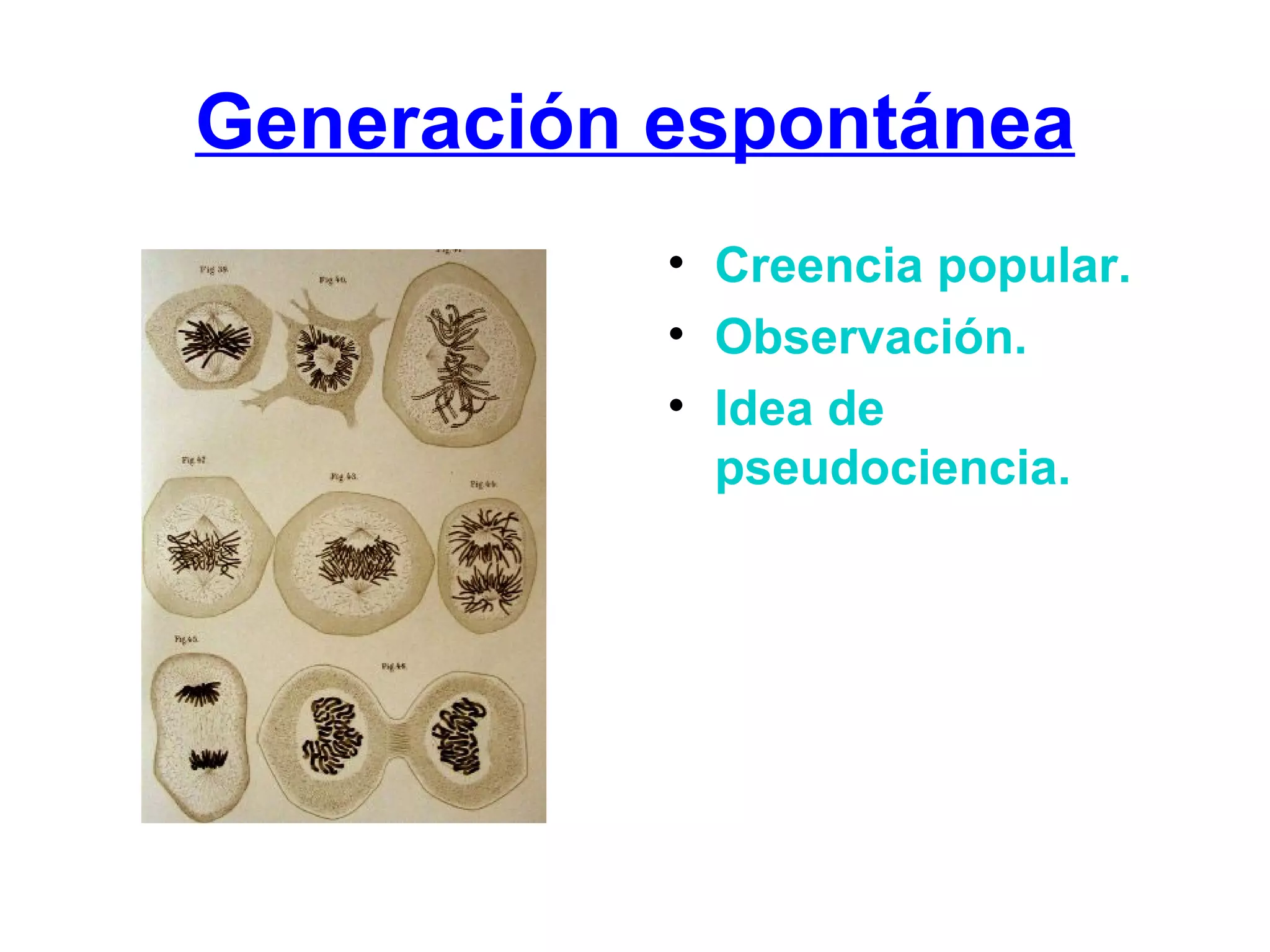Generación espontánea Creencia popular. Observación. Idea de pseudociencia.