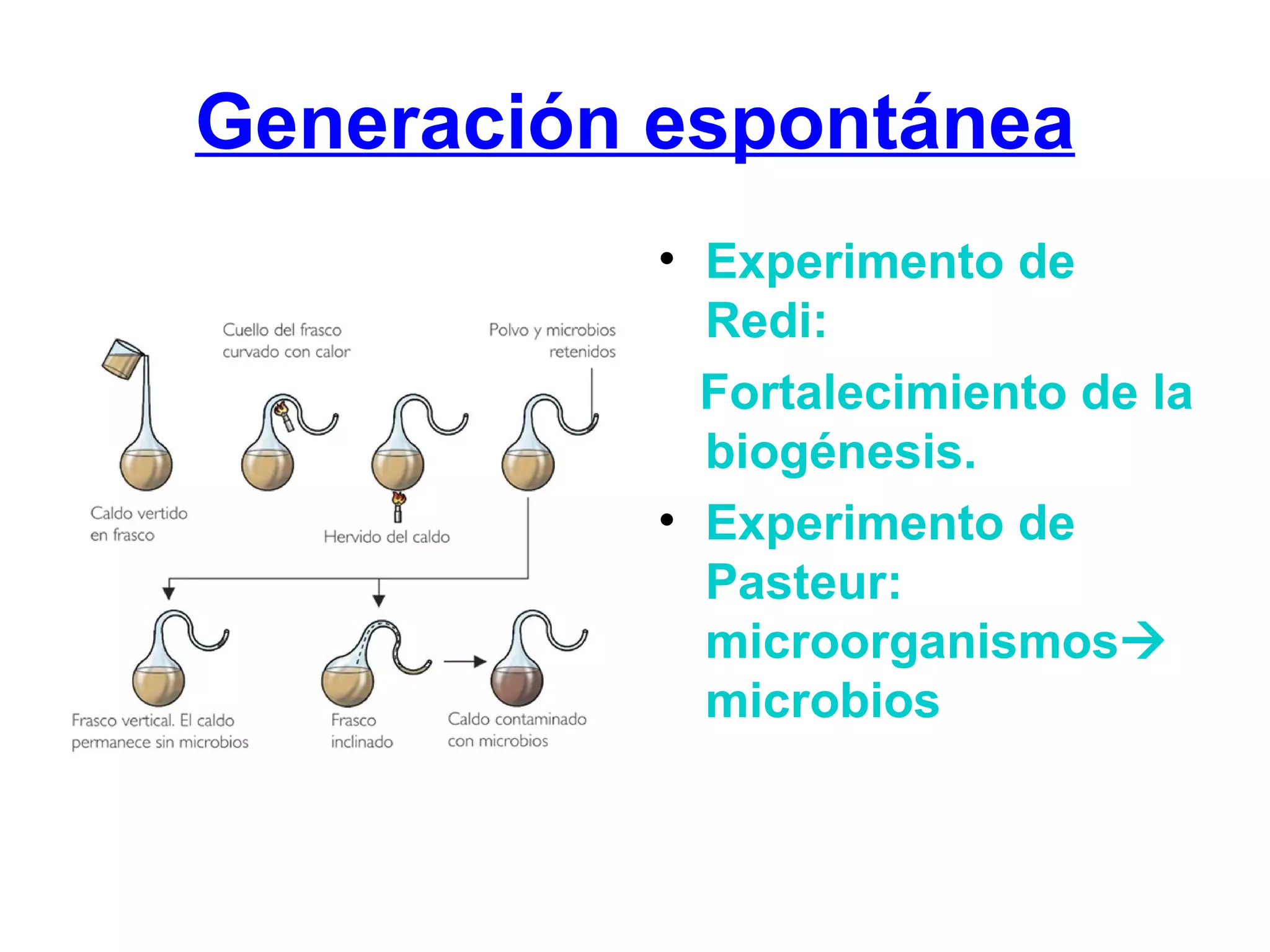 Generación espontánea Experimento de Redi: Fortalecimiento de la biogénesis. Experimento de Pasteur: microorganismos microbios