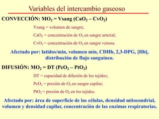 Variables del intercambio gaseoso
CONVECCIÓN: MO2 = Vsang (CaO2 – CvO2)
Vsang = volumen de sangre;
CaO2 = concentración de O2 en sangre arterial;
CvO2 = concentración de O2 en sangre venosa.
Afectado por: latidos/min, volumen min, CDHb, 2,3-DPG, [Hb],
distribución de flujo sanguíneo.
DIFUSIÓN: MO2 = DT (PcO2 – PtO2)
DT = capacidad de difusión de los tejidos;
PcO2 = presión de O2 en sangre capilar;
PtO2 = presión de O2 en los tejidos.
Afectado por: área de superficie de las células, densidad mitocondrial,
volumen y densidad capilar, concentración de las enzimas respiratorias.
 