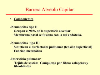 Barrera Alveolo Capilar
• Componentes
-Neumocitos tipo I:
Ocupan el 90% de la superficie alveolar
Membrana basal se fusiona con la del endotelio.
-Neumocitos tipo II:
Sintetizan el surfactante pulmonar (tensión superficial)
Función metabólica
-Intersticio pulmonar
Tejido de sostén: Compuesto por fibras colágenas y
fibroblastos
 