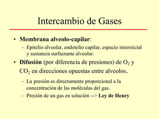 Intercambio de Gases
• Membrana alveolo-capilar:
– Epitelio alveolar, endotelio capilar, espacio intersticial
y sustancia surfactante alveolar.
• Difusión (por diferencia de presiones) de O2 y
CO2 en direcciones opuestas entre alveolos.
– La presión es directamente proporcional a la
concentración de las moléculas del gas.
– Presión de un gas en solución --> Ley de Henry
 
