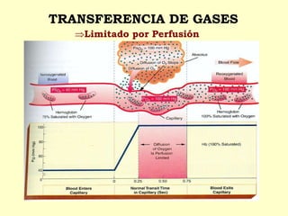 Limitado por Perfusión
TRANSFERENCIA DE GASES
 