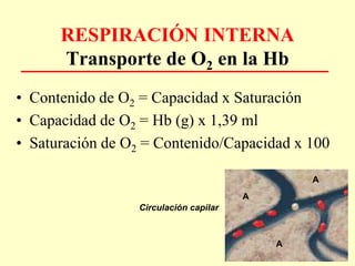 RESPIRACIÓN INTERNA
Transporte de O2 en la Hb
• Contenido de O2 = Capacidad x Saturación
• Capacidad de O2 = Hb (g) x 1,39 ml
• Saturación de O2 = Contenido/Capacidad x 100
Circulación capilar
A
A
A
 