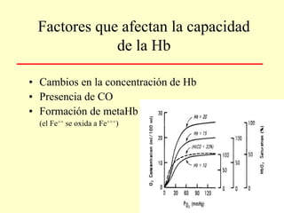 Factores que afectan la capacidad
de la Hb
• Cambios en la concentración de Hb
• Presencia de CO
• Formación de metaHb
(el Fe++ se oxida a Fe+++)
 