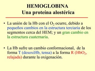 • La unión de la Hb con el O2 ocurre, debido a
pequeños cambios en la estructura terciaria de los
segmentos cerca del HEM; y un gran cambio en
la estructura cuaternaria.
• La Hb sufre un cambio conformacional, de la
forma T (desoxiHb, tensa) a la forma R (HbO2,
relajada) durante la oxigenación.
HEMOGLOBINA
Una proteína alostérica
 