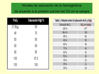 Niveles de saturación de la hemoglobina
de acuerdo a la presión parcial del O2 en la sangre
 