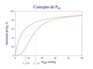 PO2, mmHg
0 20 40 60 80 100
Saturación
de
O
2
,
%
0
20
40
60
80
100
P50 Mb P50 Hb
Concepto de P50
 