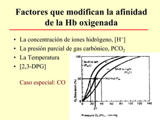 Factores que modifican la afinidad
de la Hb oxigenada
• La concentración de iones hidrógeno, [H+]
• La presión parcial de gas carbónico, PCO2
• La Temperatura
• [2,3-DPG]
Caso especial: CO
 
