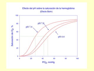 Efecto del pH sobre la saturación de la hemoglobina
PO2, mmHg
0 20 40 60 80 100
Saturación
de
O
2
,
%
0
20
40
60
80
100
pH 7.4
pH 7.0
pH 6.6
(Efecto Bohr)
 