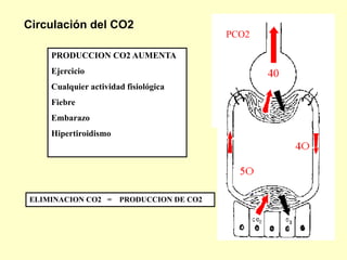PCO2
Circulación del CO2
PRODUCCION CO2 AUMENTA
Ejercicio
Cualquier actividad fisiológica
Fiebre
Embarazo
Hipertiroidismo
ELIMINACION CO2 = PRODUCCION DE CO2
 