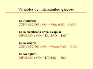 En el pulmón:
CONVECCIÓN : MO2 = Vaire (CiO2 – CeO2)
En la membrana alveolo-capilar:
DIFUSIÓN : MO2 = DL (PAO2 – PaO2)
En la sangre:
CONVECCIÓN : MO2 = Vsang (CaO2 – CvO2)
En los tejidos:
DIFUSIÓN : MO2 = DT (PcO2 – PtO2)
Variables del intercambio gaseoso
 