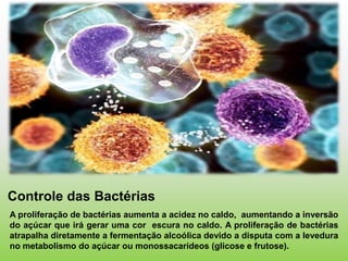 Controle das Bactérias
A proliferação de bactérias aumenta a acidez no caldo, aumentando a inversão
do açúcar que irá gerar uma cor escura no caldo. A proliferação de bactérias
atrapalha diretamente a fermentação alcoólica devido a disputa com a levedura
no metabolismo do açúcar ou monossacarídeos (glicose e frutose).
 
