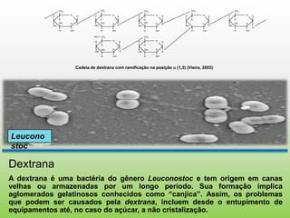 CH2                 CH2                      CH2                     CH2                  CH2                 CH2                 CH2

H          O        H          O                        O            H          O                    O        H          O        H
                H                   H        H               H                       H    H               H                   H
     H                   H                        H                       H                    H                   H                   H
     OH                  OH                       OH                      OH                                       OH                  OH
           H                   H    O                   H                       H    O               H                   H
OH              O   OH                       OH              O       OH                   OH              O   OH                  OH
                                                                                                                              O
     H     OH            H     OH                 H     OH                H     OH             H     OH            H     OH            H

                                             HO   CH2                     CH2

                                             H          O    H       H          O    H
                                                  H                       H

                                                  OH    H                 OH    H
                                             OH                  O   OH              O

                                                  H     OH                H     OH




                                    Cadeia de dextrana com ramificação na posição  (1,3) (Vieira, 2003)




Leucono
stoc

Dextrana
A dextrana é uma bactéria do gênero Leuconostoc e tem origem em canas
velhas ou armazenadas por um longo período. Sua formação implica
aglomerados gelatinosos conhecidos como “canjica”. Assim, os problemas
que podem ser causados pela dextrana, incluem desde o entupimento de
equipamentos até, no caso do açúcar, a não cristalização.
 