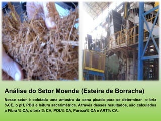 Análise do Setor Moenda (Esteira de Borracha)
Nesse setor é coletada uma amostra da cana picada para se determinar o brix
%CE, o pH, PBU e leitura sacarimétrica. Através desses resultados, são calculados
a Fibra % CA, o brix % CA, POL% CA, Pureza% CA e ART% CA.
 