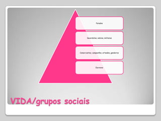 Faraóns




                        Sacerdotes, nobres, militares




                Comerciantes, campesiños, artesáns, gandeiros




                                  Escravos




VIDA/grupos sociais
 