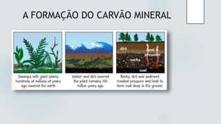 A FORMAÇÃO DO CARVÃO MINERAL
 