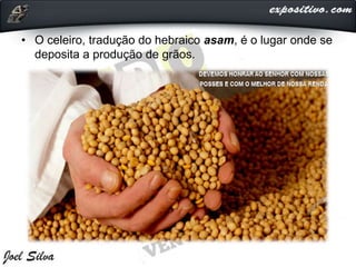 • O celeiro, tradução do hebraico asam, é o lugar onde se
deposita a produção de grãos.
 