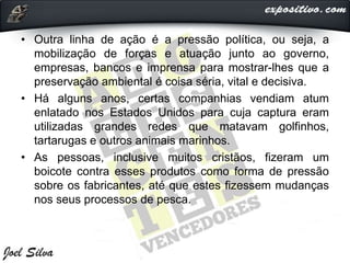 • Outra linha de ação é a pressão política, ou seja, a
mobilização de forças e atuação junto ao governo,
empresas, bancos e imprensa para mostrar-lhes que a
preservação ambiental é coisa séria, vital e decisiva.
• Há alguns anos, certas companhias vendiam atum
enlatado nos Estados Unidos para cuja captura eram
utilizadas grandes redes que matavam golfinhos,
tartarugas e outros animais marinhos.
• As pessoas, inclusive muitos cristãos, fizeram um
boicote contra esses produtos como forma de pressão
sobre os fabricantes, até que estes fizessem mudanças
nos seus processos de pesca.
 