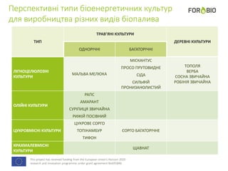 This project has received funding from the European Union's Horizon 2020
research and innovation programme under grant agreement No691846.
Перспективні типи біоенергетичних культур
для виробництва різних видів біопалива
ТИП
ТРАВ’ЯНІ КУЛЬТУРИ
ДЕРЕВНІ КУЛЬТУРИ
ОДНОРІЧНІ БАГАТОРІЧНІ
ЛІГНОЦЕЛЮЛОЗНІ
КУЛЬТУРИ
МАЛЬВА МЕЛЮКА
МІСКАНТУС
ПРОСО ПРУТОВИДНЕ
СІДА
СИЛЬФІЙ
ПРОНИЗАНОЛИСТИЙ
ТОПОЛЯ
ВЕРБА
СОСНА ЗВИЧАЙНА
РОБІНІЯ ЗВИЧАЙНА
ОЛІЙНІ КУЛЬТУРИ
РАПС
АМАРАНТ
СУРІПИЦЯ ЗВИЧАЙНА
РИЖІЙ ПОСІВНИЙ
ЦУКРОВМІСНІ КУЛЬТУРИ
ЦУКРОВЕ СОРГО
ТОПІНАМБУР
ТИФОН
СОРГО БАГАТОРІЧНЕ
КРАХМАЛЕВМІСНІ
КУЛЬТУРИ
ЩАВНАТ
 