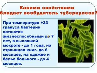 В отличие от других микробов,
микобактерия туберкулеза
чрезвычайно живуча: отлично
себя чувствует и в земле,
и в снегу, устойчива
к воздействию спирта, кислоты
и щелочи. Погибнуть она может
лишь под длительным
воздействием прямых
солнечных лучей, высоких
температур и хлорсодержащих
веществ.
Какими свойствами
бладает возбудитель туберкулеза?
При температуре +23
градуса бактерии
остаются
жизнеспособными до 7
лет, в высохшей
мокроте - до 1 года, на
страницах книг- до 6
месяцев, на одежде и
белье больного - до 4
месяцев.
 