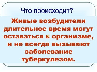 При внедрении в организм микобактерий
туберкулеза происходит инфицирование
(заражение), которое определяется у
детей пробой Манту. Такие люди
называются носителями туберкулезной
инфекции.
80 % взрослых жителей нашей планеты
являются постоянными носителями
микобактерий туберкулеза, т.е. они
инфицированы.
Живые возбудители
длительное время могут
оставаться в организме,
и не всегда вызывают
заболевание
туберкулезом.
 