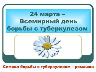 24 марта –
Всемирный день
борьбы с туберкулезом
Символ борьбы с туберкулезом – ромашка
 