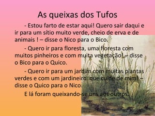 As queixas dos Tufos - Estou farto de estar aqui! Quero sair daqui e ir para um sítio muito verde, cheio de erva e de animais ! – disse o Nico para o Bico. - Quero ir para floresta, uma floresta com muitos pinheiros e com muita vegetação! – disse o Bico para o Quico. - Quero ir para um jardim com muitas plantas verdes e com um jardineiro  que cuide de mim! – disse o Quico para o Nico.  E lá foram queixando-se uns aos outros. 