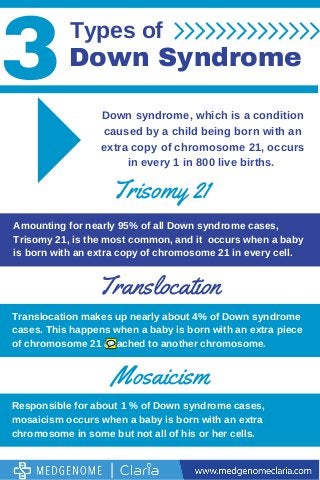 3 types of down syndrome