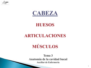 CABEZA
      HUESOS

ARTICULACIONES

   MÚSCULOS
           Tema 3
 Anatomía de la cavidad bucal
      Auxiliar de Enfermería
                                1
 