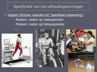 Specificiteit van het uithoudingsvermogen

►   Hogere VO2max waarden bij “specifieke inspanning”:
       - Roeiers: meten op roeiergometer
       - Fietsers: meten op fietsergometer
       -…
 