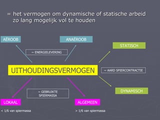 = het vermogen om dynamische of statische arbeid
     zo lang mogelijk vol te houden


 AËROOB                                    ANAËROOB
                                                                          STATISCH
                       ~ ENERGIELEVERING




      UITHOUDINGSVERMOGEN                                        ~ AARD SPIERCONTRACTIE




                          ~ GEBRUIKTE                                     DYNAMISCH
                          SPIERMASSA

 LOKAAL                                        ALGEMEEN

< 1/6 van spiermassa                          > 1/6 van spiermassa
 