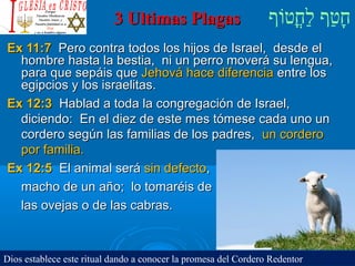‫וף‬ֹ‫ף‬‫חוט‬ֳ‫וט‬‫ל‬ַ‫ח‬ ‫וטף‬ַ‫ח‬‫ח‬ָ3 Ultimas Plagas3 Ultimas Plagas
Ex 11:7Ex 11:7 Pero contra todos los hijos de Israel, desde elPero contra todos los hijos de Israel, desde el
hombre hasta la bestia, ni un perro moverá su lengua,hombre hasta la bestia, ni un perro moverá su lengua,
para que sepáis quepara que sepáis que Jehová hace diferenciaJehová hace diferencia entre losentre los
egipcios y los israelitas.egipcios y los israelitas.
Ex 12:3Ex 12:3 Hablad a toda la congregación de Israel,Hablad a toda la congregación de Israel,
diciendo: En el diez de este mes tómese cada uno undiciendo: En el diez de este mes tómese cada uno un
cordero según las familias de los padres,cordero según las familias de los padres, un corderoun cordero
por familia.por familia.
Ex 12:5Ex 12:5 El animal seráEl animal será sin defectosin defecto,,
macho de un año; lo tomaréis demacho de un año; lo tomaréis de
las ovejas o de las cabras.las ovejas o de las cabras.
Dios establece este ritual dando a conocer la promesa del Cordero Redentor
 