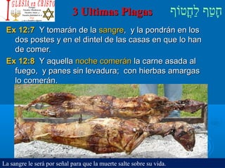 ‫וף‬ֹ‫ף‬‫חוט‬ֳ‫וט‬‫ל‬ַ‫ח‬ ‫וטף‬ַ‫ח‬‫ח‬ָ3 Ultimas Plagas3 Ultimas Plagas
Ex 12:7Ex 12:7 Y tomarán de laY tomarán de la sangresangre, y la pondrán en los, y la pondrán en los
dos postes y en el dintel de las casas en que lo handos postes y en el dintel de las casas en que lo han
de comer.de comer.
Ex 12:8Ex 12:8 Y aquellaY aquella noche comeránnoche comerán la carne asada alla carne asada al
fuego, y panes sin levadura; con hierbas amargasfuego, y panes sin levadura; con hierbas amargas
lo comerán.lo comerán.
La sangre le será por señal para que la muerte salte sobre su vida.
 