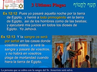 ‫וף‬ֹ‫ף‬‫חוט‬ֳ‫וט‬‫ל‬ַ‫ח‬ ‫וטף‬ַ‫ח‬‫ח‬ָ3 Ultimas Plagas3 Ultimas Plagas
Ex 12:12Ex 12:12 Pues yo pasaré aquella noche por la tierraPues yo pasaré aquella noche por la tierra
de Egipto, y heriré ade Egipto, y heriré a todo primogénitotodo primogénito en la tierraen la tierra
de Egipto, así de los hombres como de las bestias;de Egipto, así de los hombres como de las bestias;
y ejecutaré mis juicios en todos los dioses dey ejecutaré mis juicios en todos los dioses de
Egipto. Yo Jehová.Egipto. Yo Jehová.
Ex 12:13Ex 12:13 Y laY la sangre os serásangre os será
por señalpor señal en las casas dondeen las casas donde
vosotros estéis; y veré lavosotros estéis; y veré la
sangre y pasaré de vosotros,sangre y pasaré de vosotros,
y no habrá en vosotrosy no habrá en vosotros
plaga de mortandad cuandoplaga de mortandad cuando
hiera la tierra de Egipto.hiera la tierra de Egipto.
La persona que se cubra con la sangre del Sr. Jesucristo será salva.
 