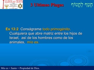 ‫וף‬ֹ‫ף‬‫חוט‬ֳ‫וט‬‫ל‬ַ‫ח‬ ‫וטף‬ַ‫ח‬‫ח‬ָ3 Ultimas Plagas3 Ultimas Plagas
Ex 13:2Ex 13:2 ConságrameConságrame todo primogénitotodo primogénito..
Cualquiera que abre matriz entre los hijos deCualquiera que abre matriz entre los hijos de
Israel, así de los hombres como de losIsrael, así de los hombres como de los
animales,animales, mío es.mío es.
Mío es = Santo = Propiedad de Dios.
 