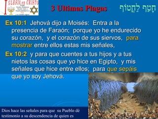 ‫וף‬ֹ‫ף‬‫חוט‬ֳ‫וט‬‫ל‬ַ‫ח‬ ‫וטף‬ַ‫ח‬‫ח‬ָ3 Ultimas Plagas3 Ultimas Plagas
Ex 10:1Ex 10:1 Jehová dijo a Moisés: Entra a laJehová dijo a Moisés: Entra a la
presencia de Faraón; porque yo he endurecidopresencia de Faraón; porque yo he endurecido
su corazón, y el corazón de sus siervos,su corazón, y el corazón de sus siervos, parapara
mostrarmostrar entre ellos estas mis señales,entre ellos estas mis señales,
Ex 10:2Ex 10:2 y para que cuentes a tus hijos y a tusy para que cuentes a tus hijos y a tus
nietos las cosas que yo hice en Egipto, y misnietos las cosas que yo hice en Egipto, y mis
señales que hice entre ellos; paraseñales que hice entre ellos; para que sepáisque sepáis
que yo soy Jehová.que yo soy Jehová.
Dios hace las señales para que su Pueblo dé
testimonio a su descendencia de quien es
 