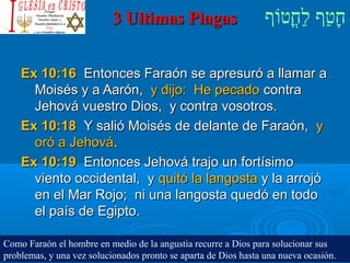 ‫וף‬ֹ‫ף‬‫חוט‬ֳ‫וט‬‫ל‬ַ‫ח‬ ‫וטף‬ַ‫ח‬‫ח‬ָ3 Ultimas Plagas3 Ultimas Plagas
Ex 10:16Ex 10:16 Entonces Faraón se apresuró a llamar aEntonces Faraón se apresuró a llamar a
Moisés y a Aarón,Moisés y a Aarón, y dijo: He pecadoy dijo: He pecado contracontra
Jehová vuestro Dios, y contra vosotros.Jehová vuestro Dios, y contra vosotros.
Ex 10:18Ex 10:18 Y salió Moisés de delante de Faraón,Y salió Moisés de delante de Faraón, yy
oró a Jehováoró a Jehová..
Ex 10:19Ex 10:19 Entonces Jehová trajo un fortísimoEntonces Jehová trajo un fortísimo
viento occidental, yviento occidental, y quitó la langostaquitó la langosta y la arrojóy la arrojó
en el Mar Rojo; ni una langosta quedó en todoen el Mar Rojo; ni una langosta quedó en todo
el país de Egipto.el país de Egipto.
Como Faraón el hombre en medio de la angustia recurre a Dios para solucionar sus
problemas, y una vez solucionados pronto se aparta de Dios hasta una nueva ocasión.
 