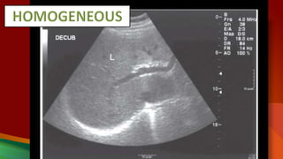 3 ultrasound nomenclature | PPTX
