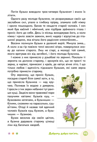 95Доброму добра пам’ять.
Потім бузьки виводили троє-четверо бузьченят і вчили їх
літати.
Одного разу молоде бузьченя, не розрахувавши своїх ще
заслабких сил, упало в глибоку прірву, зламало собі ніжку
і крило пошкодило. Бачив те нещастя старий чоловік. І хоч
який був кволий і немічний, але підібрав зраненого птаха і
приніс його до себе. Десь із місяць виходжував його, а коли
ніжка і крило зовсім зажили, виніс надвір і відпустив до пта-
шиної родини, яка вітала його радісним клекотанням...
Восени полинули бузьки в далекий вирій. Минула зима...
А коли з-за гір повіяли теплі весняні вітри, повернулися зно-
ву до хатини старого. Лиш не старі, а молоді: той самий,
якого врятував він від загибелі, і його молода бузьчиха.
І кожне з них принесло у дзьобові по зернині. Поклали ті
зернята на долоню старому, і зрозумів він, що не прості то
зерна, а чарівні, принесені з країв, де квітує вічне літо. І що
тільки любов і вдячність підказали бузькам, які саме зерна
потрібно принести старому.
Оту зернинку, що приніс бузьок,
посадив старий біля самої хати, а ту,
що принесла бузьчиха — над кру-
чею. Поливав їх водою з джерела.
І зросли з тих зерен небачені тут рані-
ше кущі. Зацвіли вони травневої пори
пахучими квітами: бузьків кущ —
бузковими кетягами, а бузьчишин —
білими, схожими на парасольки, суц-
віттями. Отоді й назвав той вдячний
чоловік бузьків кущ бузком, а бузь-
чишин — бузиною.
Бузок веселив зір своїм цвітом,
а бузина дарувала старому цілющі
ліки від багатьох хвороб.
 
