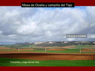 Mesa de Ocaña y campiña del Tajo
Campiña y vega de los ríos
Páramo y cuestas
 
