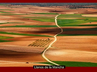 Llanos de la Mancha
 