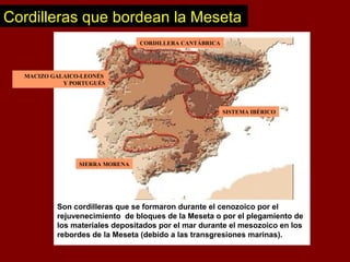 Cordilleras que bordean la Meseta
MACIZO GALAICO-LEONÉS
Y PORTUGUÉS
CORDILLERA CANTÁBRICA
SISTEMA IBÉRICO
SIERRA MORENA
Son cordilleras que se formaron durante el cenozoico por el
rejuvenecimiento de bloques de la Meseta o por el plegamiento de
los materiales depositados por el mar durante el mesozoico en los
rebordes de la Meseta (debido a las transgresiones marinas).
 