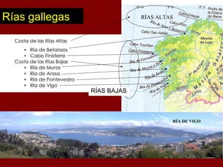 Rías gallegas RÍAS ALTAS
RÍAS BAJAS
RÍA DE VIGO
RÍAS ALTAS
 