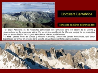 - El oeste Asturiano, es de materiales paleozoicos que formaban parte del zócalo de la Meseta y
rejuvenecieron en la orogénesis alpina. En su extremo occidental, la diferente dureza de los materiales
(pizarras y cuarcitas) ha dado lugar a ejemplos de relieves apalachenses.
- El este (desde Picos de Europa y Montaña Cántabra). Afloran las calizas mesozoicas, que fueron
depositados por el mar en el borde de la Meseta, plegándose durante la orogénesis alpina.
Tiene dos sectores diferenciados:
Cordillera Cantábrica
 