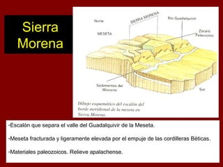 -Escalón que separa el valle del Guadalquivir de la Meseta.
-Meseta fracturada y ligeramente elevada por el empuje de las cordilleras Béticas.
-Materiales paleozoicos. Relieve apalachense.
Sierra
Morena
 