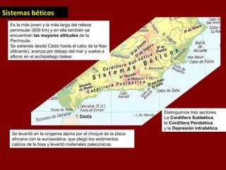 Sistemas béticos
Es la más joven y la más larga del relieve
peninsular (600 km) y en ella también se
encuentran las mayores altitudes de la
Península.
Se extiende desde Cádiz hasta el cabo de la Nao
(Alicante), avanza por debajo del mar y vuelve a
aflorar en el archipiélago balear.
Se levantó en la orogenia alpina por el choque de la placa
africana con la euroasiática, que plegó los sedimentos
calizos de la fosa y levantó materiales paleozoicos.
Distinguimos tres sectores.
La Cordillera Subbética,
la Cordillera Penibética
y la Depresión intrabética.
 