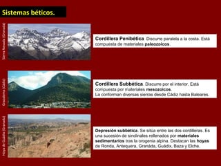 SierraNevada(Granada)Grazalema(Cádiz)HoyadeGuádix(Granada)
Sistemas béticos.
Cordillera Penibética. Discurre paralela a la costa. Está
compuesta de materiales paleozoicos.
Cordillera Subbética. Discurre por el interior. Está
compuesta por materiales mesozoicos.
La conforman diversas sierras desde Cádiz hasta Baleares.
Depresión subbética. Se sitúa entre las dos cordilleras. Es
una sucesión de sinclinales rellenados por materiales
sedimentarios tras la orogenia alpina. Destacan las hoyas
de Ronda, Antequera, Granáda, Guádix, Baza y Elche.
 