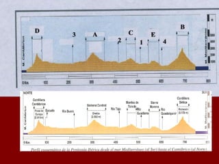 Corte topográfico examen
 
